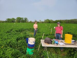 Collecting plot crops